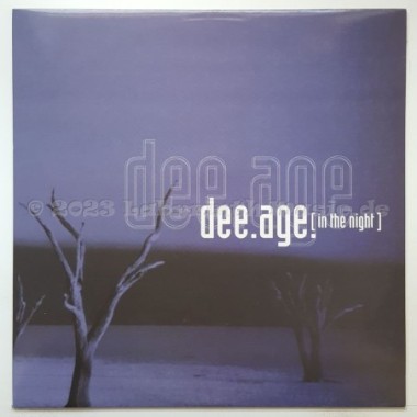Dee Age - In The Night • 12" Vinyl Maxi • NM - Labyrinth Music