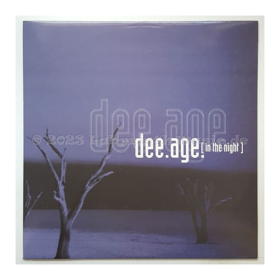 Dee Age - In The Night • 12" Vinyl Maxi • NM - Labyrinth Music