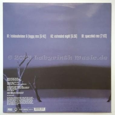 Dee Age - In The Night • 12" Vinyl Maxi • NM - Labyrinth Music