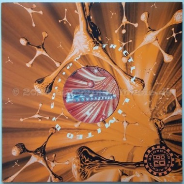 DJ Hooker - Do The Blues • 12" Vinyl Maxi • MINT - Labyrinth Music