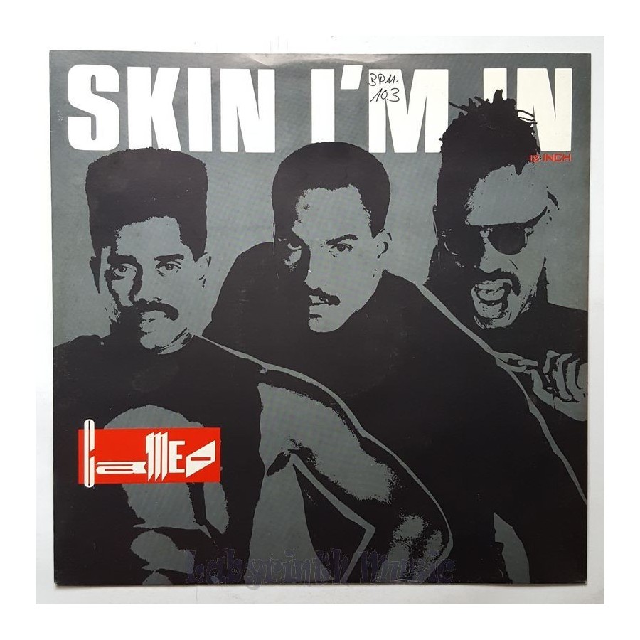 Cameo - Skin I'm In • 12" Vinyl Maxi - Labyrinth Music