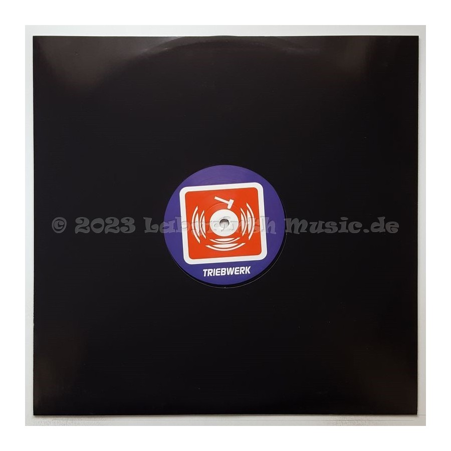 DJ Smile - Work It • 12" Vinyl Maxi • MINT - Labyrinth Music