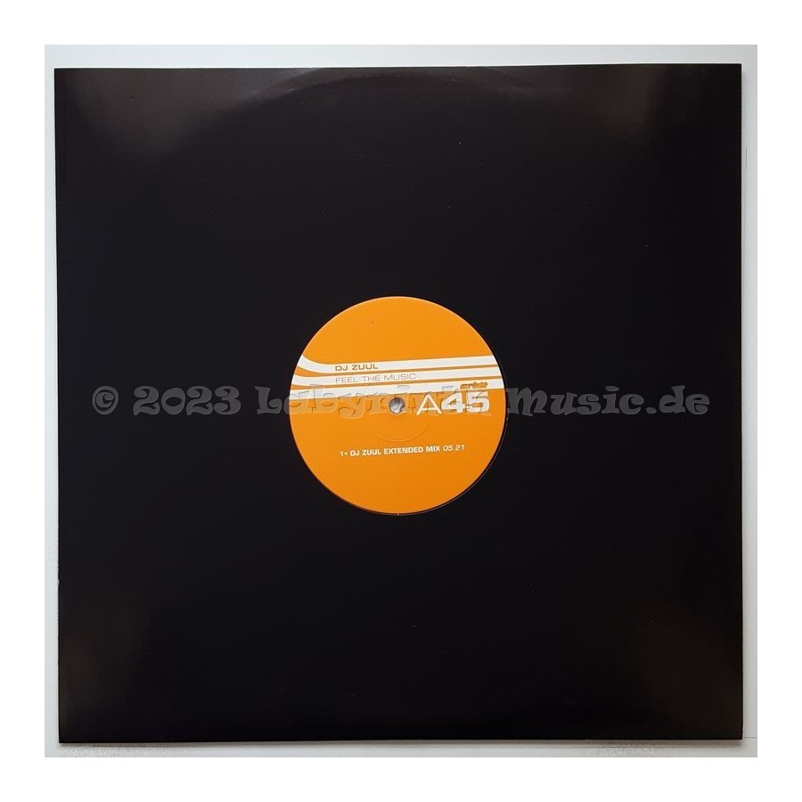 DJ Zuul - Feel The Music • 12" Vinyl Maxi • MINT - Labyrinth Music