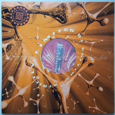 DJ Hooker - Do The Blues • 12" Vinyl Maxi • MINT - Labyrinth Music