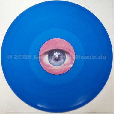 Dolphin's Mind - Into The Blue • 12" Vinyl Maxi • MINT - Labyrinth Music