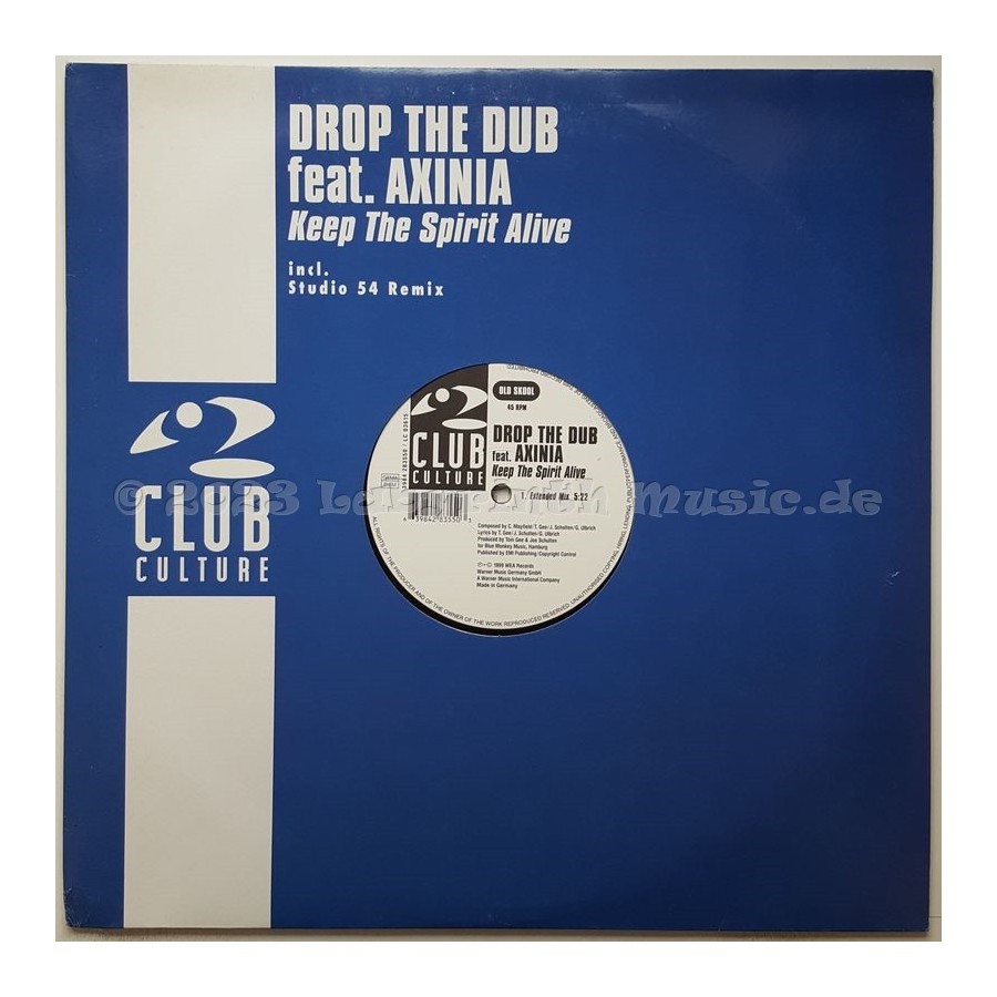 Drop The Dub Feat. Axinia - Keep The Spirit Alive • 12" Vinyl Maxi • EX - Labyrinth Music