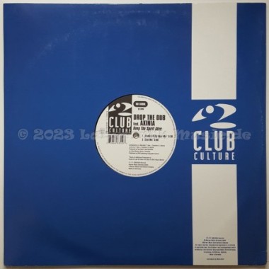 Drop The Dub Feat. Axinia - Keep The Spirit Alive • 12" Vinyl Maxi • EX - Labyrinth Music