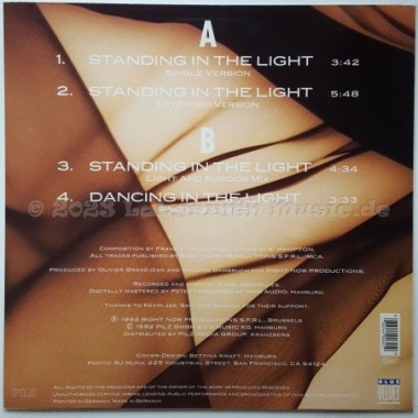 E. Hampton - Standing In The Light • 12" Vinyl Maxi • MINT - Labyrinth Music