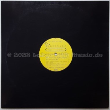 Ernestine - Keep On Dancin (Thru The Nite) • 12" Vinyl Maxi • MINT - Labyrinth Music