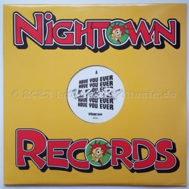 Flip Da Scrip - Have You Ever • 12" Vinyl Maxi • MINT - Labyrinth Music