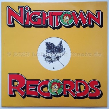 Flip Da Scrip - I Never Told You • 12" Vinyl Maxi • MINT - Labyrinth Music