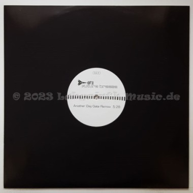 Future Breeze - Another Day • Gate Remix • 12" Vinyl Maxi • MINT - Labyrinth Music