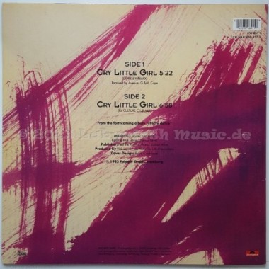 Hot Chocolate - Cry Little Girl • 12" Vinyl Maxi • MINT - Labyrinth Music