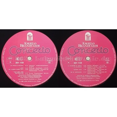 Angelo Branduardi - Concerto • 12" Vinyl LP • MINT - Labyrinth Music