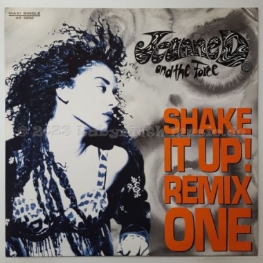 Jeanne D. And The Force - Shake It Up • Remix One • 12" Vinyl Maxi • MINT - Labyrinth Music