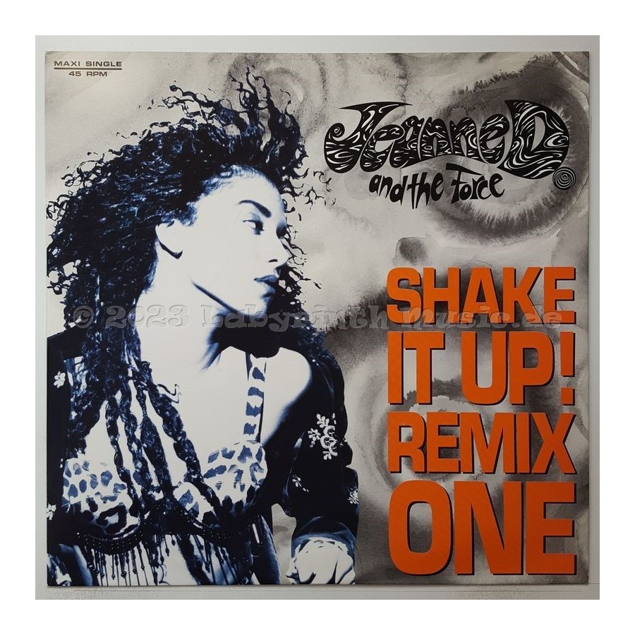 Jeanne D. And The Force - Shake It Up • Remix One • 12" Vinyl Maxi • MINT - Labyrinth Music
