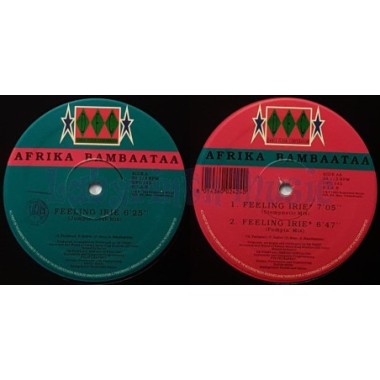 Afrika Bambaataa - Feeling Irie • 12" Vinyl Maxi • EX - Labyrinth Music