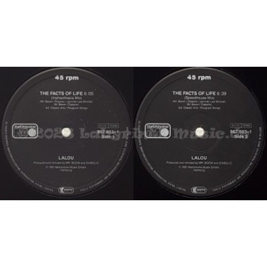 Lalou - The Facts Of Life • Remix • 12" Vinyl Maxi • MINT - Labyrinth Music