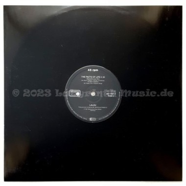 Lalou - The Facts Of Life • Remix • 12" Vinyl Maxi • MINT - Labyrinth Music