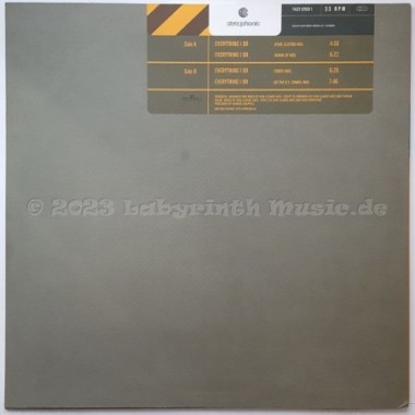 Liquid Force Feat. Sherlyn Whittiker - Everything I Do • 12" Vinyl Maxi • MINT - Labyrinth Music