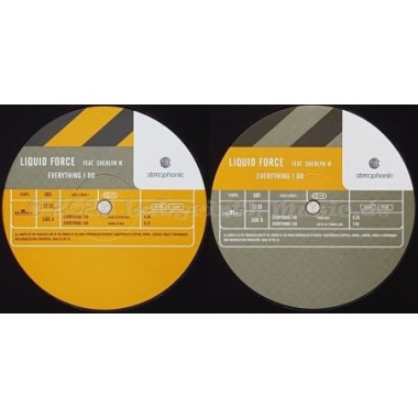 Liquid Force Feat. Sherlyn Whittiker - Everything I Do • 12" Vinyl Maxi • MINT - Labyrinth Music