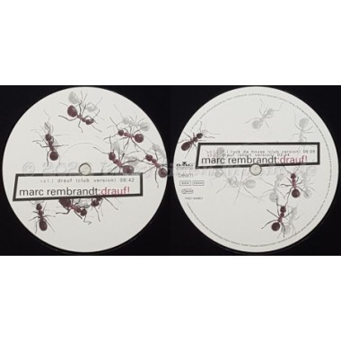 Marc Rembrandt - Drauf • 12" Vinyl Maxi • MINT - Labyrinth Music