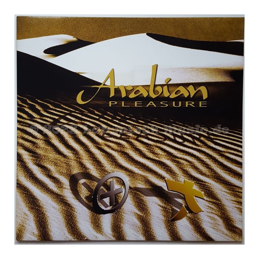 Mario Più & Mauro Picotto - Arabian Pleasure • 12" Vinyl Maxi • MINT - Labyrinth Music