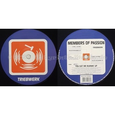Members Of Passion - You Got Me Burnin' Up • 12" Vinyl Maxi • MINT - Labyrinth Music