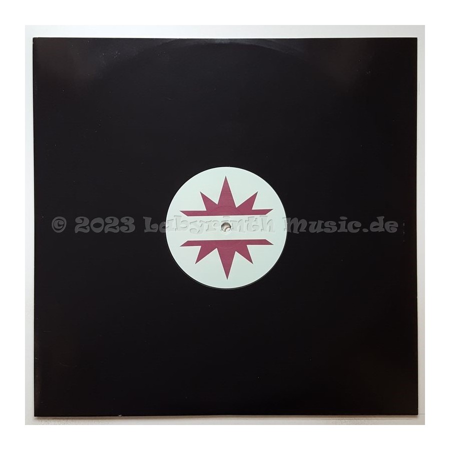 Mike 303 - Make Your Body Turn Around • 12" Vinyl Maxi • MINT - Labyrinth Music