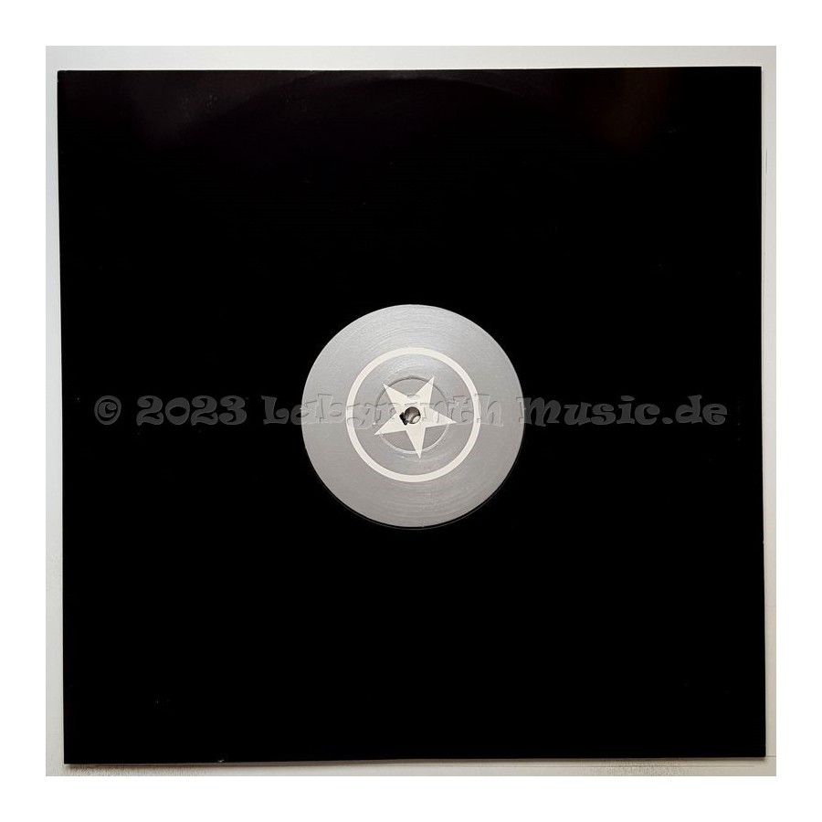 Natural Born Deejays - Deejay's Mind • 12" Vinyl Maxi - Labyrinth Music