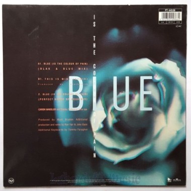 Caron Wheeler - Blue (Is The Colour Of Pain) • 12" Vinyl Maxi • EX - Labyrinth Music