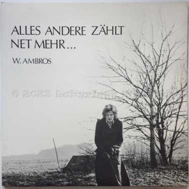 Wolfgang Ambros - Alles Andere Zählt Net Mehr • 12" Vinyl LP • EX - Labyrinth Music