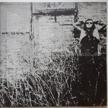 Wolfgang Ambros - Alles Andere Zählt Net Mehr • 12" Vinyl LP • EX - Labyrinth Music