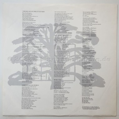 World Party - Private Revolution • 12" Vinyl LP • EX - Labyrinth Music