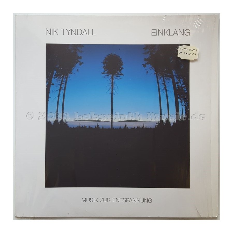 Nik Tyndall - Einklang • 12" Vinyl LP • MINT - Labyrinth Music
