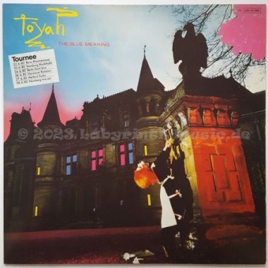 Toyah - The Blue Meaning • 12" Vinyl LP • NM - Labyrinth Music