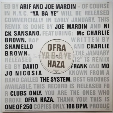 Ofra Haza - Ya Ba Ye • 12" Vinyl Maxi - Labyrinth Music