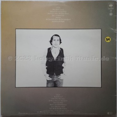 Paul Simon - Greatest Hits Etc. • 12" Vinyl LP - Labyrinth Music