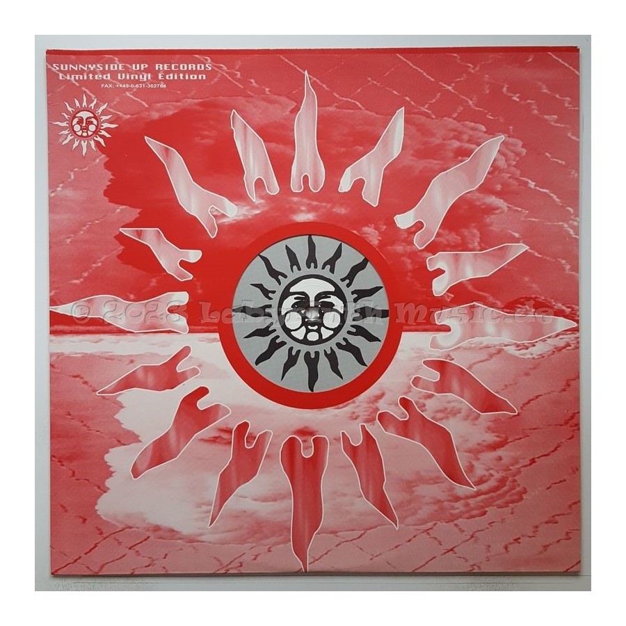 P-Casso - Back In The Jungle • Remix • 12" Vinyl Maxi • NM - Labyrinth Music