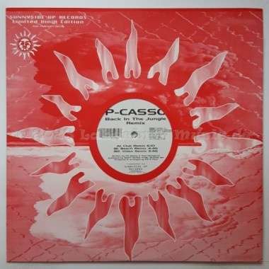 P-Casso - Back In The Jungle • Remix • 12" Vinyl Maxi • NM - Labyrinth Music