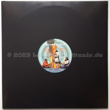 Problem, Das - Boarder (Eisbär) • 12" Vinyl Maxi • MINT - Labyrinth Music