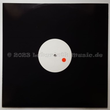 Public Art Feat. B.O.Y. - I Wanna Feel The Music • Vocal Remixes • 12" Vinyl Maxi • MINT - Labyrinth Music