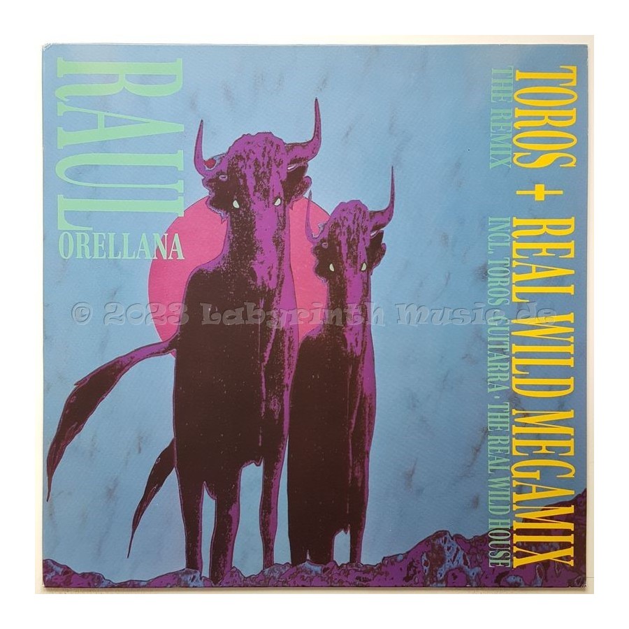 Raul Orellana - Toros • 12" Vinyl Maxi • MINT - Labyrinth Music