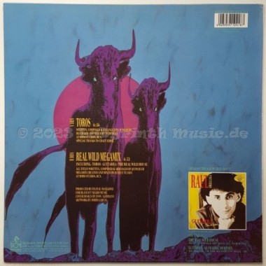 Raul Orellana - Toros • 12" Vinyl Maxi • MINT - Labyrinth Music