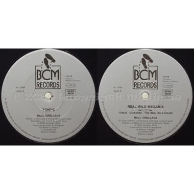 Raul Orellana - Toros • 12" Vinyl Maxi • MINT - Labyrinth Music
