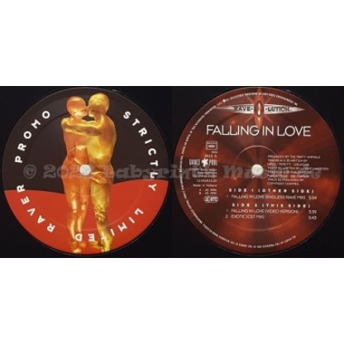 Rave-O-Lution - Falling In Love • 12" Vinyl Maxi • MINT - Labyrinth Music