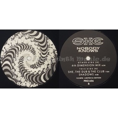 SHE - Nobody Knows • 12" Vinyl Maxi • MINT - Labyrinth Music