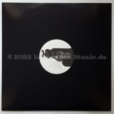 Skyland - A Sign • 12" Vinyl Maxi - Labyrinth Music
