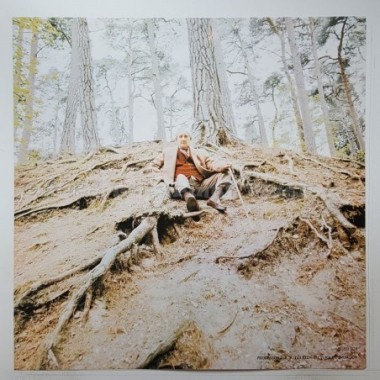 Bo Hansson - Music Inspired By Lord Of The Rings • 12" Vinyl LP • MINT - Labyrinth Music