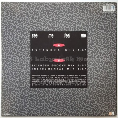 Sync - See Me Feel Me • 12" Vinyl Maxi • MINT - Labyrinth Music